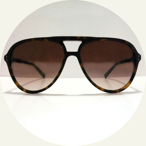 LarvaMoiAussiC2Front1